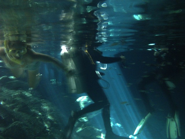 Sarah mixing it up with some divers