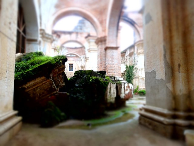 A now moss covered ceiling, on the floor