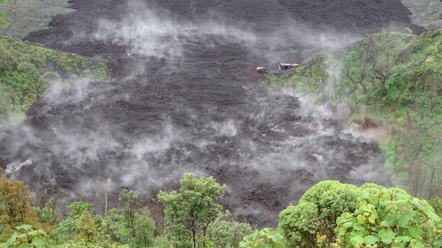 Resembling some sort of scorched earth!