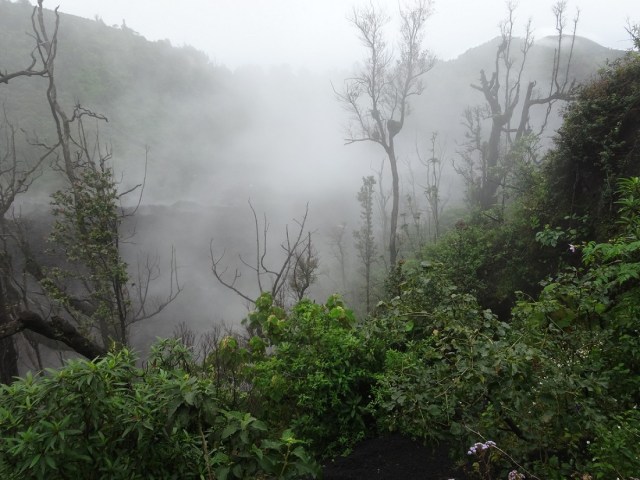 Losing ourselves in the mist as we reach the bottom of the ridge