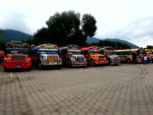 Chicken Buses in their gaudy livery