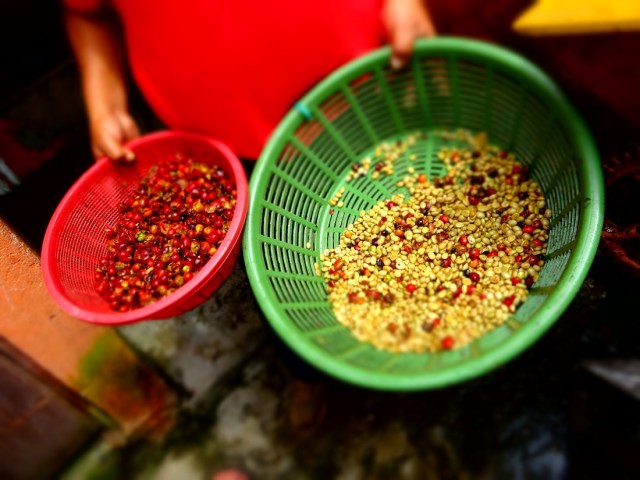 Coffee beans and the husks