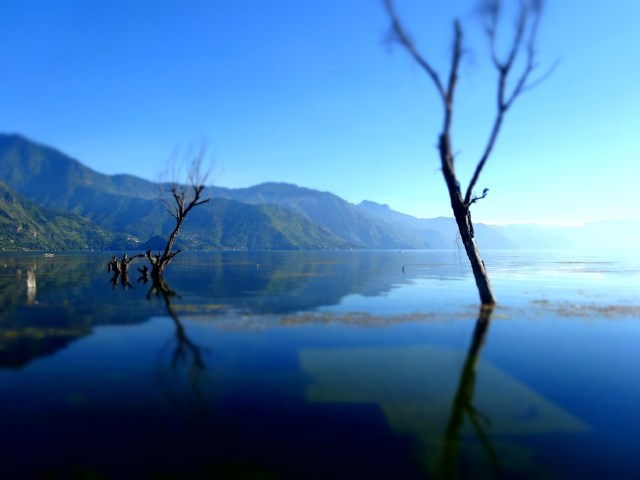 With views of Lago de Atitlan from the school, Casa Rosario was an easy decision (and the lake, an easy distraction)