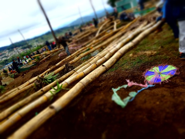 Bamboo beams in abundance. Thankfully no ravenous, giant Pandas in sight however...