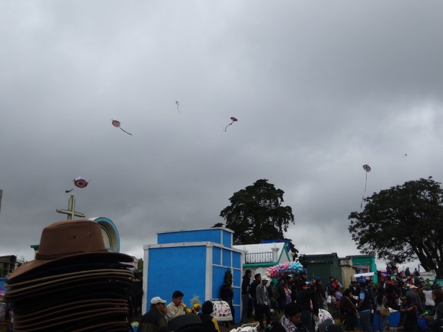 A few kites in the sky and the trees with their victims…