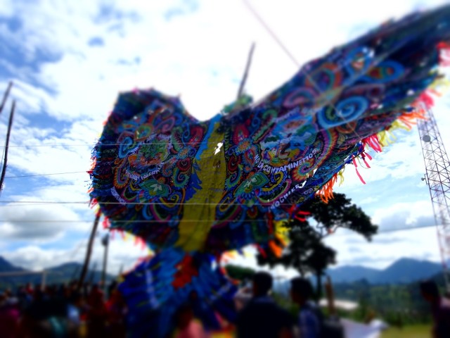 Fly like a bird, although this kite would only leave the ground when it fell, tearing it to shreds just before our later departure