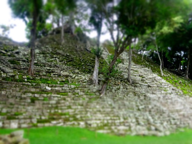 Mayan masonry at war with mother nature