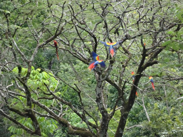 The incredibly colourful locals