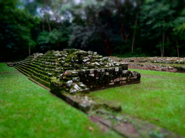 A surprise find amidst the jungle, removed from the ruins proper