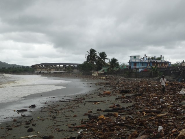 A beach of driftwood and coconuts with the stadium in the distance