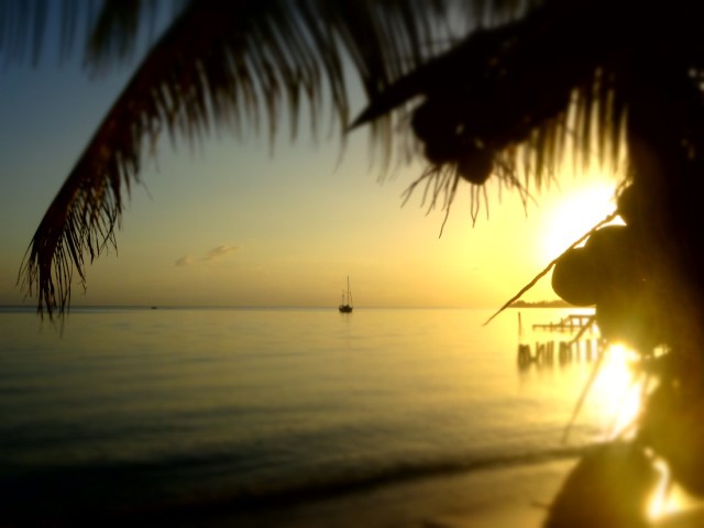 Our one true stunning Utila sunset