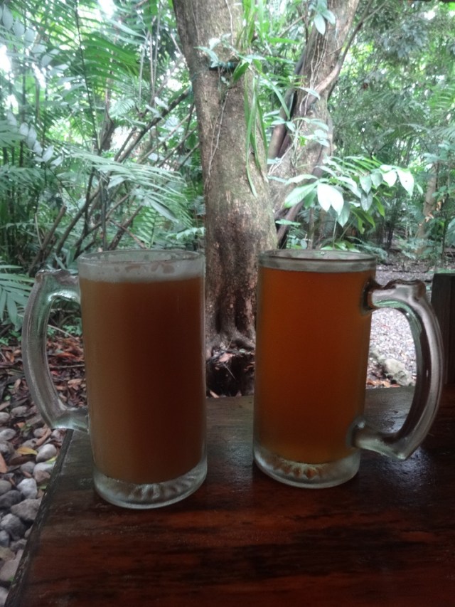 Micro-brewed beers in our jungle hostel