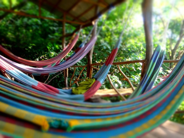 Our beds for the night. Truly at one with nature!