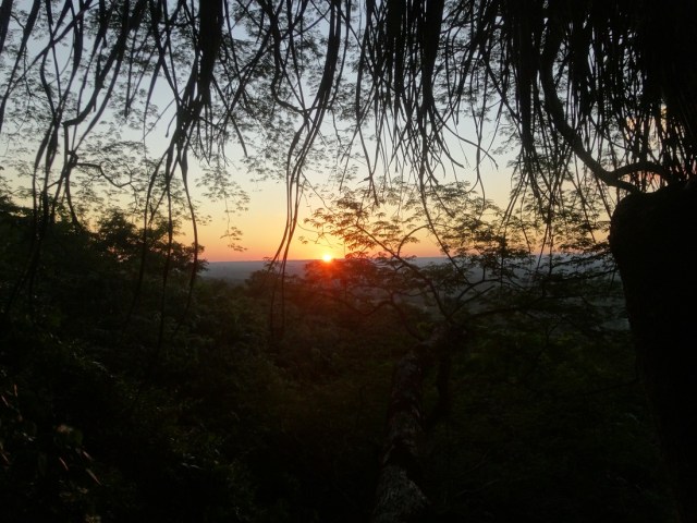 The sun dips below the trees