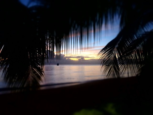 Cold beer and stunning evenings