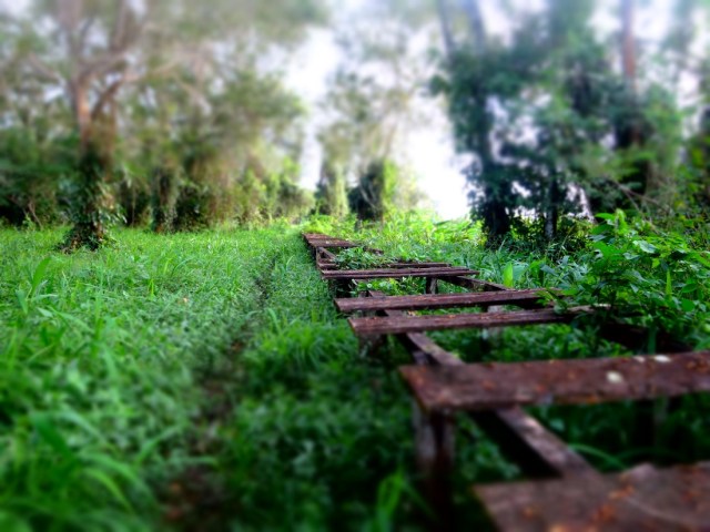 Exploring our surrounds...