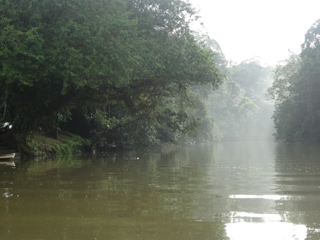 A misty (and mystical) looking Rio Bartolo