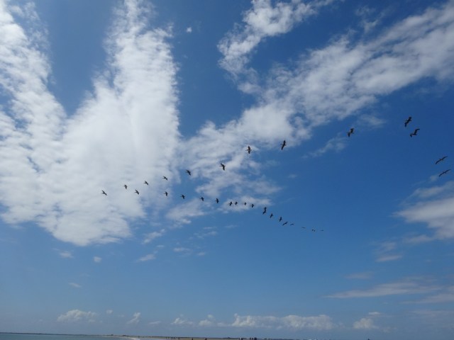 Others taking advantage of the lovely day
