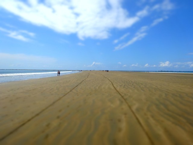 Walking the ‘Whale Tail’