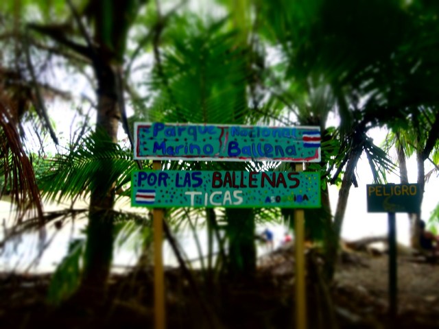 Welcome to another Costa Rican gem
