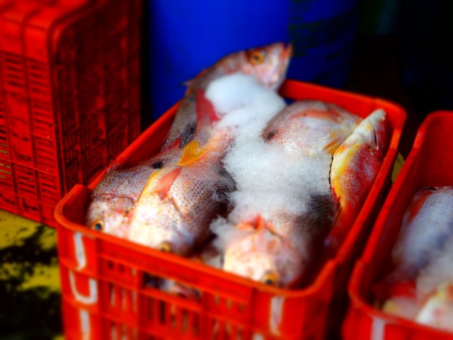The Mercado Mariscos after indulging in fresh, cheap ceviche