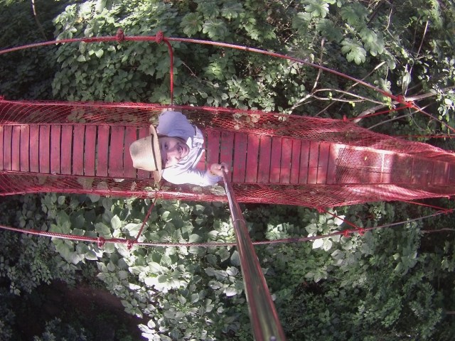 Walking the canopy at Treehouse Poste Rojo