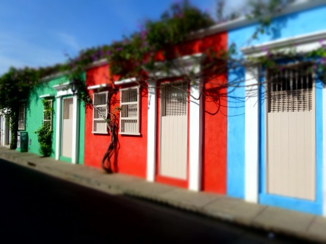 Captivating colour