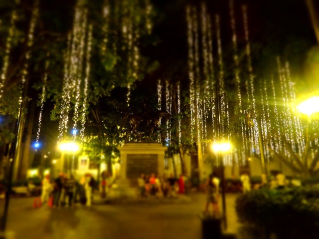 Turning on the charm by night as well