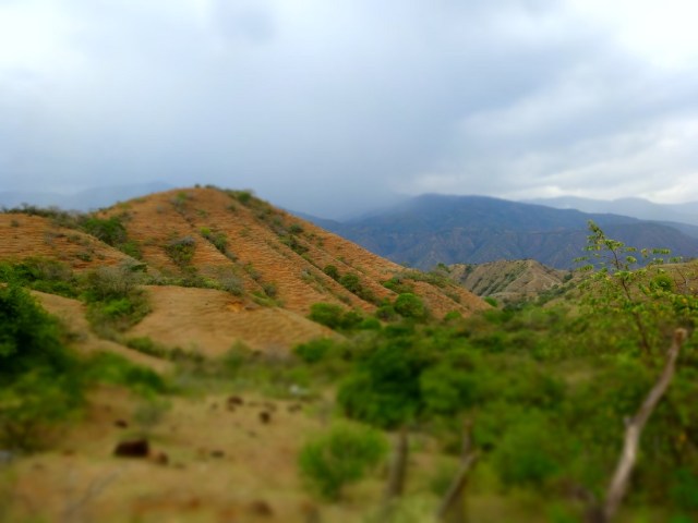 This is the kind of terrain we were walking back through (and over)