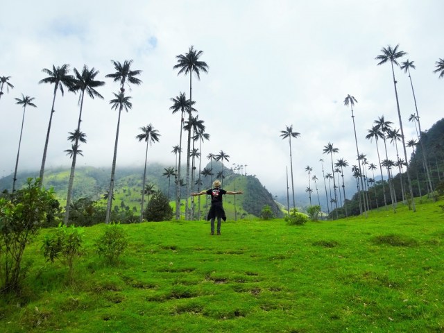 Welcome to the Valle de Cocora