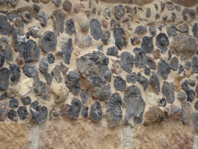 Fossils galore! An embarrassment of riches around Villa de Leyva means they can use them in wall construction!