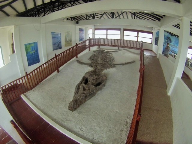 Villa de Leyva's 'El Fosil'