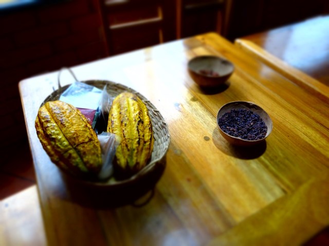 Ready to partake in an El Quetzal chocolate tour