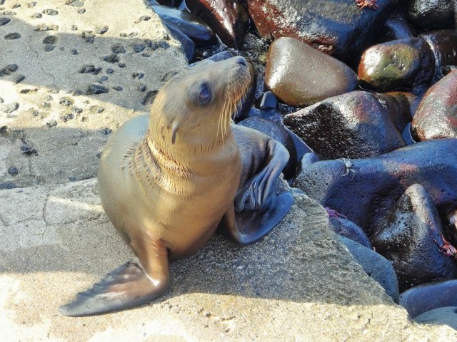 A warm welcome on land as well