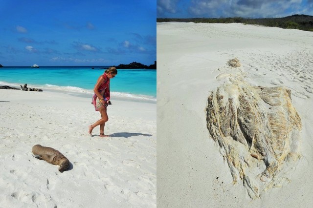 A peaceful stroll reveals a denizen of the deep!