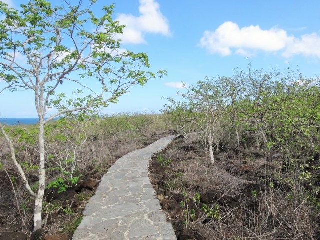 Walking despite heat through this scrubby terrain