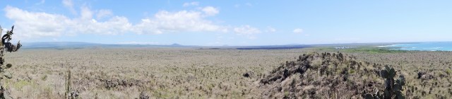 The dry scrub that abounds with a small sliver of green where Puerto Villamil sits (Click on image to enlarge)