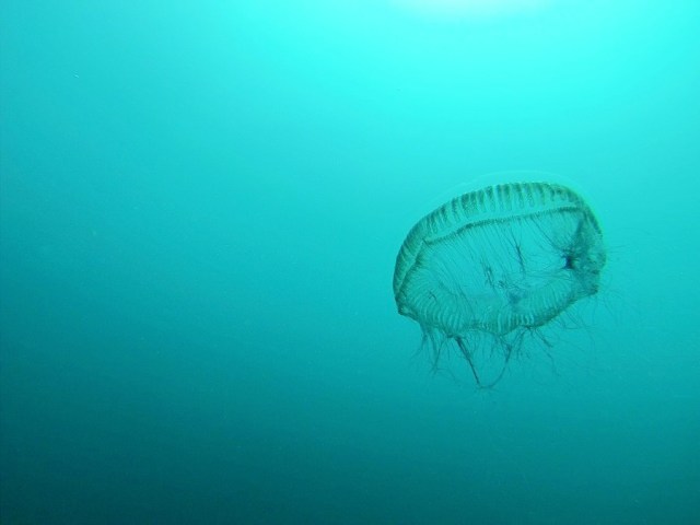 So close, you could touch it!