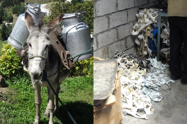 The Co-operative at work. Milk for the cheese (left) & leather for the footballs (right)