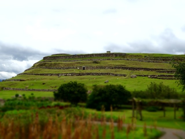 Trademark terraces on the hillside