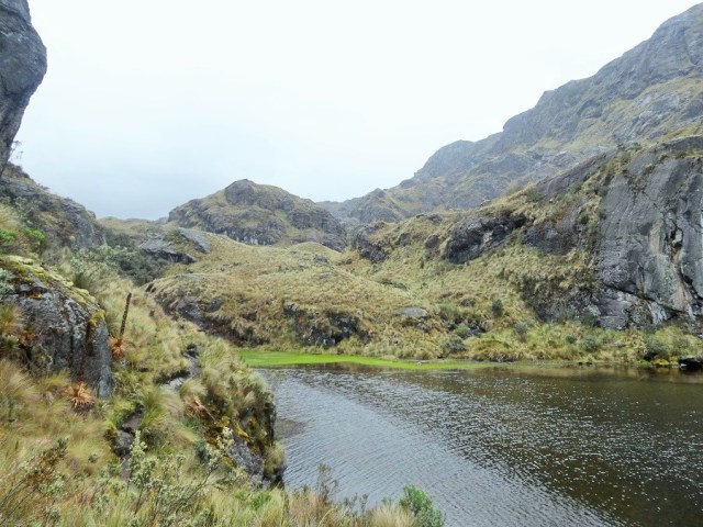 Such a stunning location for a stroll amongst nature