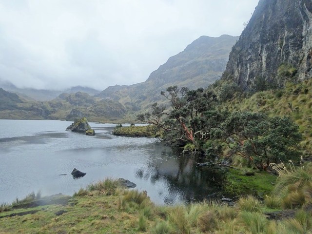 The rain may have brought a bit more chill, but made the views a little more mystical