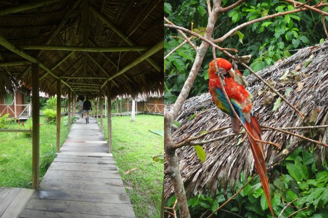 Getting our bearings & meeting the locals…