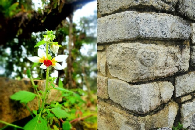 Lovely, but a bit of a prick (left) & the only carved feature in the whole site (right)