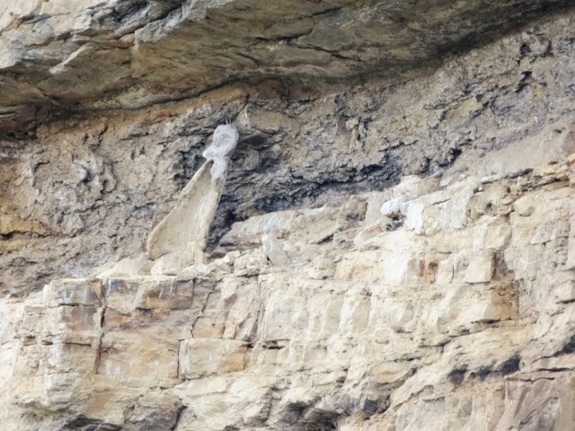 Remnants of sarcofogi lost above...