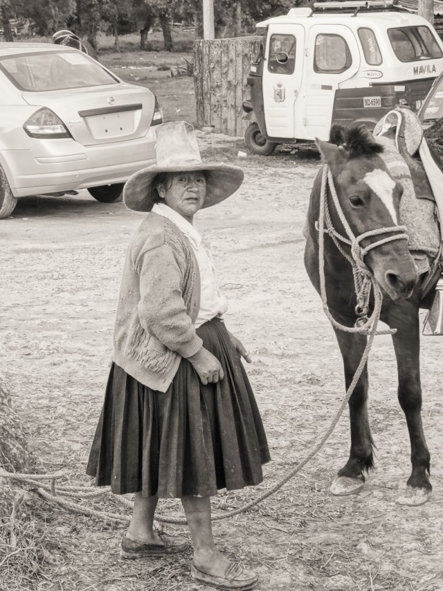 Average looking horse rides sold by ladies with those wonderful looking hats!