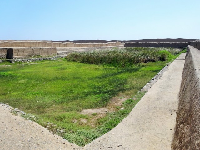 Chan Chan’s water source. Gold in the desert
