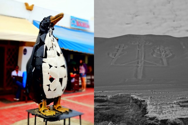 Not the 1st Penguin we expected to see (left) & ‘The poor man’s Nasca’? (right)