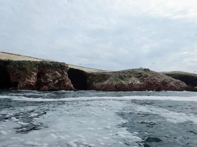 Welcome to a barren rock in the sea