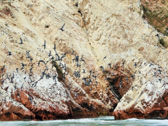 Islas Ballestas
